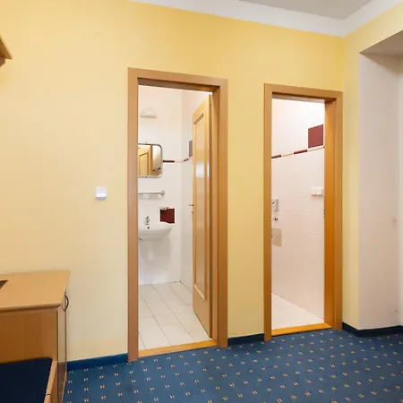 Wellness Jean De Carro Hotel 4*
