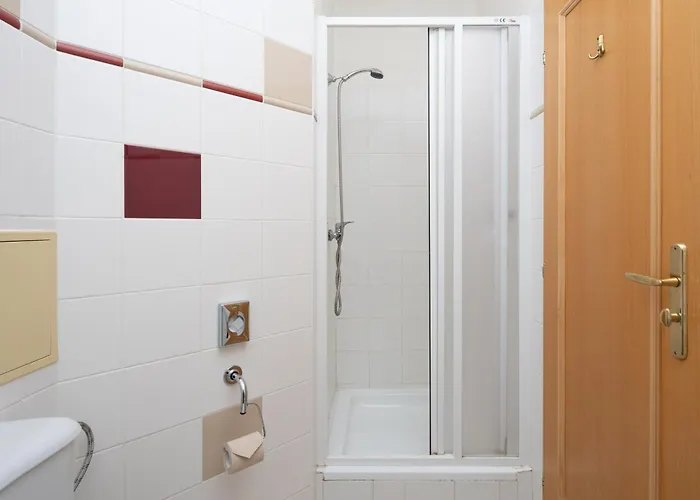 Wellness Jean De Carro 4* Κάρλοβι Βάρι