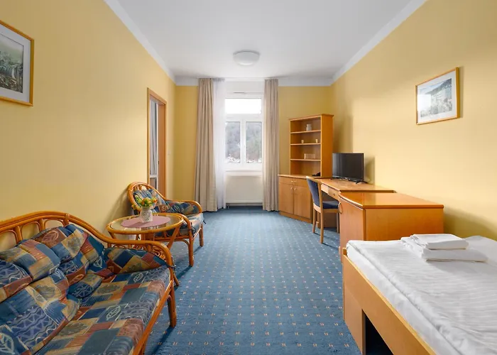 Hotel Wellness Jean De Carro Karlovy Vary
